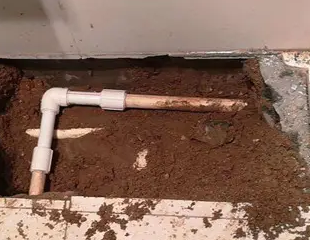 农安测漏水哪家好