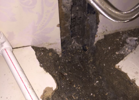 农安卫生间测漏水哪家好