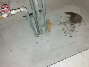 农安卫生间测漏水价格明细